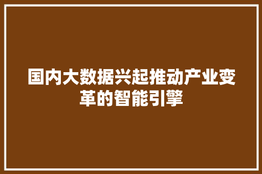 国内大数据兴起推动产业变革的智能引擎  第1张