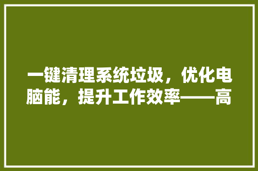 一键清理系统垃圾，优化电脑能，提升工作效率——高效系统维护之路