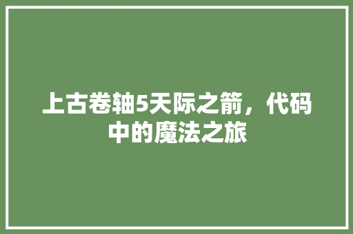 上古卷轴5天际之箭，代码中的魔法之旅