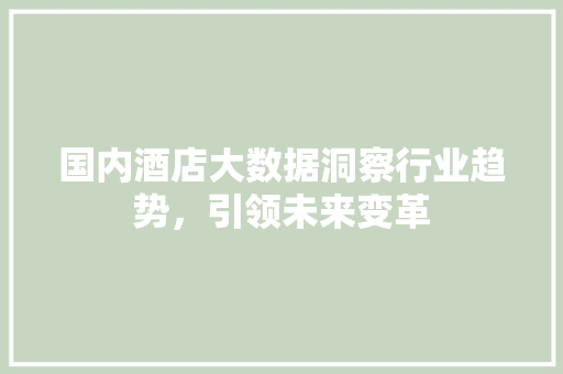 国内酒店大数据洞察行业趋势，引领未来变革  第1张