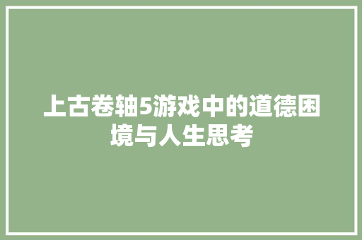上古卷轴5游戏中的道德困境与人生思考
