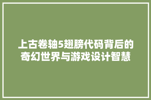 上古卷轴5翅膀代码背后的奇幻世界与游戏设计智慧  第1张