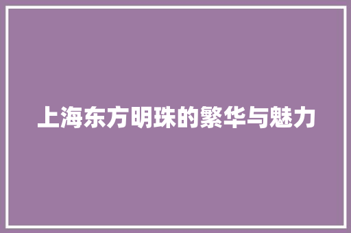 上海东方明珠的繁华与魅力