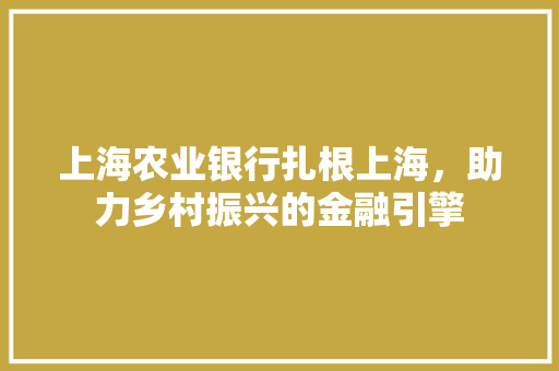 上海农业银行扎根上海，助力乡村振兴的金融引擎
