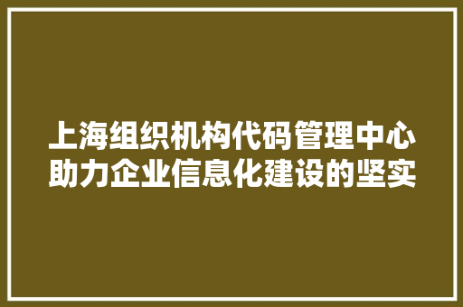 上海组织机构代码管理中心助力企业信息化建设的坚实基石  第1张