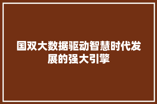 国双大数据驱动智慧时代发展的强大引擎  第1张