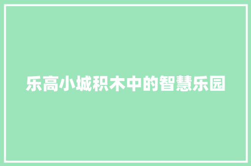 乐高小城积木中的智慧乐园