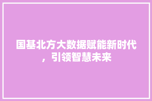 国基北方大数据赋能新时代，引领智慧未来