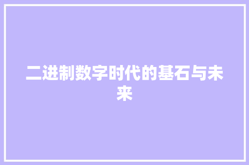 二进制数字时代的基石与未来