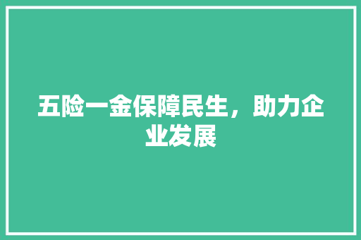 五险一金保障民生，助力企业发展  第1张
