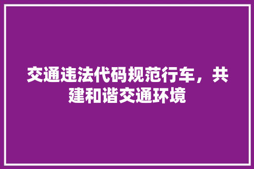 交通违法代码规范行车，共建和谐交通环境