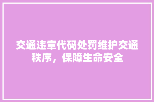 交通违章代码处罚维护交通秩序，保障生命安全