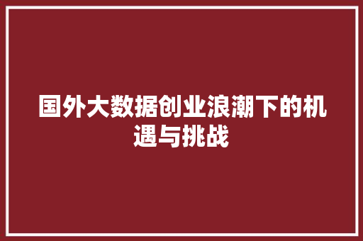 国外大数据创业浪潮下的机遇与挑战  第1张