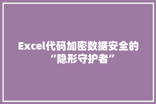 Excel代码加密数据安全的“隐形守护者”