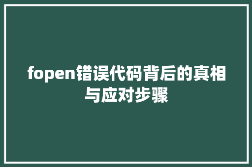 fopen错误代码背后的真相与应对步骤