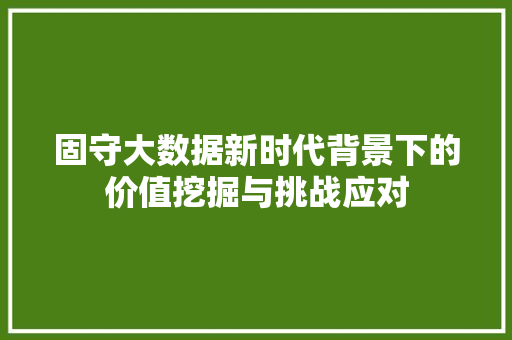 固守大数据新时代背景下的价值挖掘与挑战应对  第1张