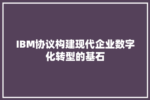 IBM协议构建现代企业数字化转型的基石
