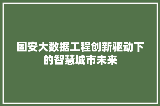 固安大数据工程创新驱动下的智慧城市未来