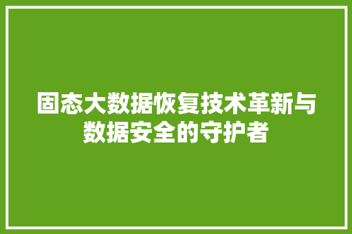 固态大数据恢复技术革新与数据安全的守护者