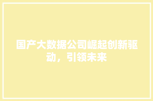 国产大数据公司崛起创新驱动，引领未来