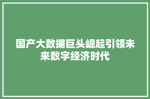 国产大数据巨头崛起引领未来数字经济时代