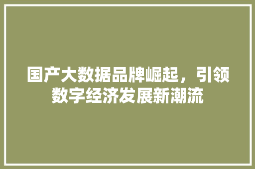 国产大数据品牌崛起，引领数字经济发展新潮流