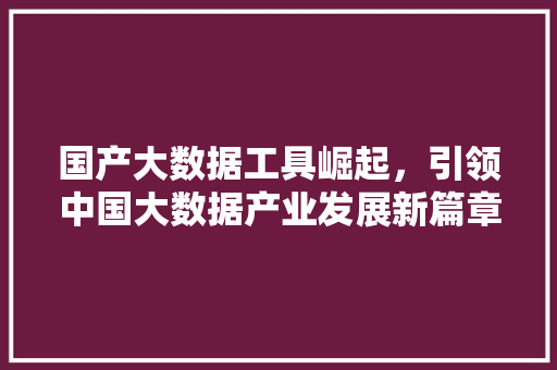 国产大数据工具崛起，引领中国大数据产业发展新篇章