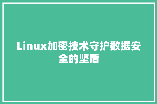 Linux加密技术守护数据安全的坚盾
