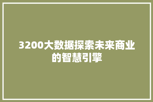 3200大数据探索未来商业的智慧引擎