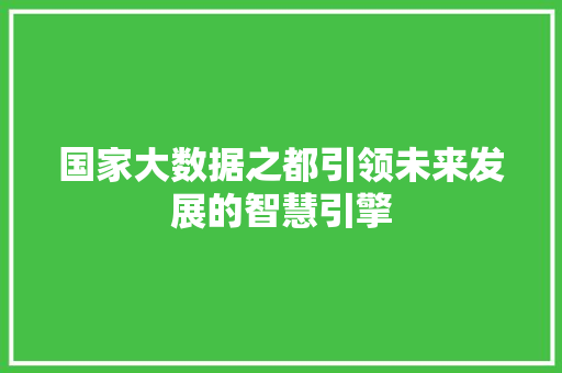 国家大数据之都引领未来发展的智慧引擎  第1张