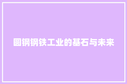 圆钢钢铁工业的基石与未来