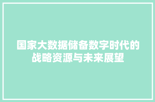 国家大数据储备数字时代的战略资源与未来展望