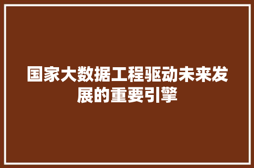 国家大数据工程驱动未来发展的重要引擎  第1张