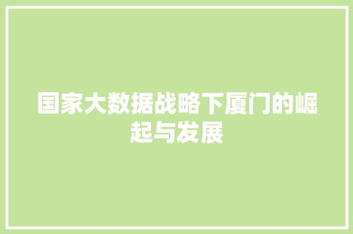 国家大数据战略下厦门的崛起与发展  第1张