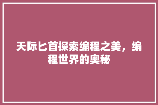 天际匕首探索编程之美，编程世界的奥秘