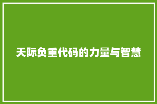 天际负重代码的力量与智慧
