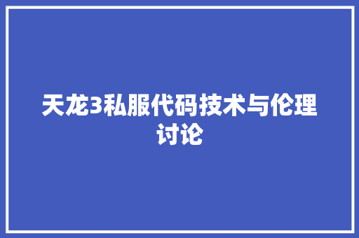 天龙3私服代码技术与伦理讨论