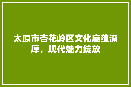 太原市杏花岭区文化底蕴深厚，现代魅力绽放