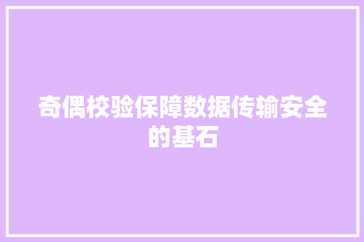 奇偶校验保障数据传输安全的基石