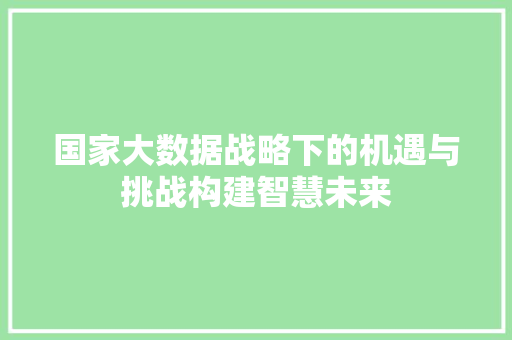 国家大数据战略下的机遇与挑战构建智慧未来  第1张