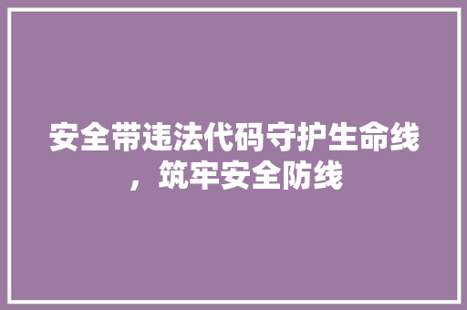 安全带违法代码守护生命线，筑牢安全防线