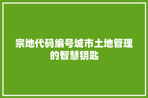 宗地代码编号城市土地管理的智慧钥匙  第1张