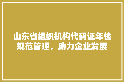 山东省组织机构代码证年检规范管理，助力企业发展