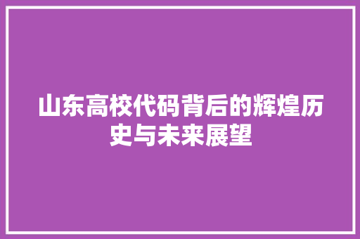 山东高校代码背后的辉煌历史与未来展望