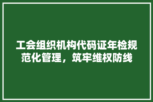 工会组织机构代码证年检规范化管理，筑牢维权防线