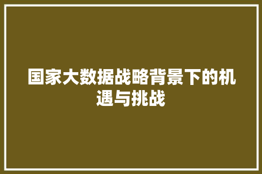 国家大数据战略背景下的机遇与挑战  第1张