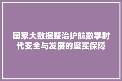 国家大数据整治护航数字时代安全与发展的坚实保障  第1张