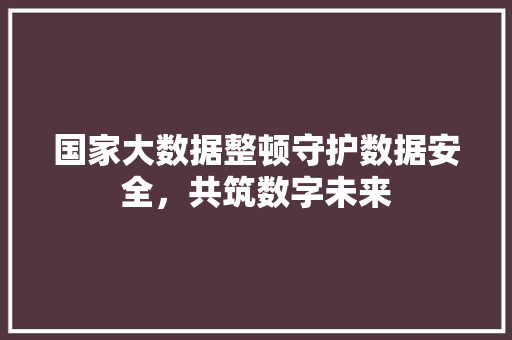 国家大数据整顿守护数据安全，共筑数字未来  第1张