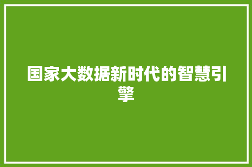 国家大数据新时代的智慧引擎  第1张