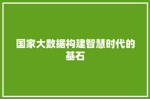 国家大数据构建智慧时代的基石